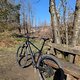 XC Fondo