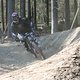 IMG 8992
