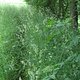 9.ThringenwegEt2