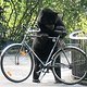 Bear mitFahrrad