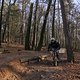 IMG 1802