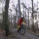 IMG 1414