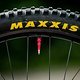Eine der wenigen Konstanten zum letzten Jahr sind die Maxxis-Reifen