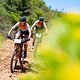Team Liv-Lapierre Racing, Sarah Hill and Vera Looser during stage 7 of the 2021 Absa Cape Epic Mountain Bike stage race from CPUT Wellington to Val de Vie, South Africa on the 24th October 2021

Photo by Kelvin Trautman/Cape Epic

PLEASE ENSURE THE A
