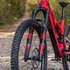 Passt besser als Kashima: Die Fox 36 in der Performance Elite-Version und passenden Decals.