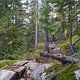 BC Whistler - Danimal