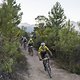 Filippo Colombo leads the race during Stage 3 of the 2025 Absa Cape Epic Mountain Bike stage race held at Fairview, Paarl, Cape Town, South Africa on the 19th March 2025. Photo by Nick Muzik/Cape Epic
PLEASE ENSURE THE APPROPRIATE CREDIT IS GIVEN TO 
