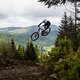 Andi-Kolb-Blog-6019