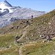 IMG 2693