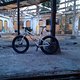 IMAG1142