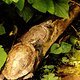 IMG 1272