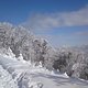 DSC01172
