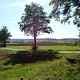 DSC02058 small