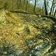 Secret Home Trail0