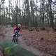 IMG 1253