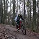 IMG 1361