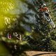 Crankworx Whip Offs 2017-32