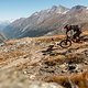 scott-sr-suntour-enduro-world-series-ews-zermatt-actionPhoto-dave-trumpore-2019-DTP 7427