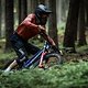 Specialized-Dissent-