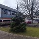 Weihnachtsbaum-Challenge Tag 4