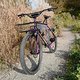L1000038 (MTB-News)