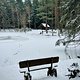 Winterpokal-Aktivität