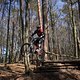Bike Beerfelden P 293