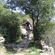 IMG 2681