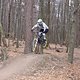 IMG 3375
