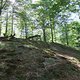 DSCF0128