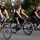 Critical Mass 1703 0375b