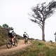 Riders on jeep track during the Prologue of the 2019 Absa Cape Epic Mountain Bike stage race held at the University of Cape Town in Cape Town, South Africa on the 17th March 2019.

Photo by Justin Coomber/Cape Epic

PLEASE ENSURE THE APPROPRIATE 