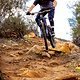 INTENSE Tracer 2022 279 Aaron Gwin Action-0208  Low Res