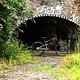 Starling Cycles Mega Murmur Web Size-100