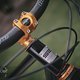 SingleBe - NoisyBee - Custom 29er