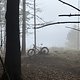 IMG 1301