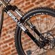 Scar Cycles-3
