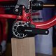 Sea Otter Classic Tag1-50