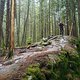BC Squamish - Rupert