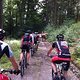 IMG 1375