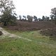 Foto0699