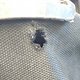 IMG 20170307 152755168