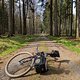 Gravelbike an Waldautobahn