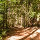 Orbit360 // Gravel Series 2022 // MilkyWayMission
