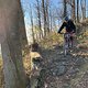 IMG 6040