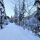 Winterpokal-Aktivität