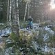IMG 2451