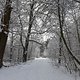 Winterpokal-Aktivität
