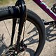 mongoose surly mullet