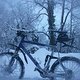 DSCF2957b